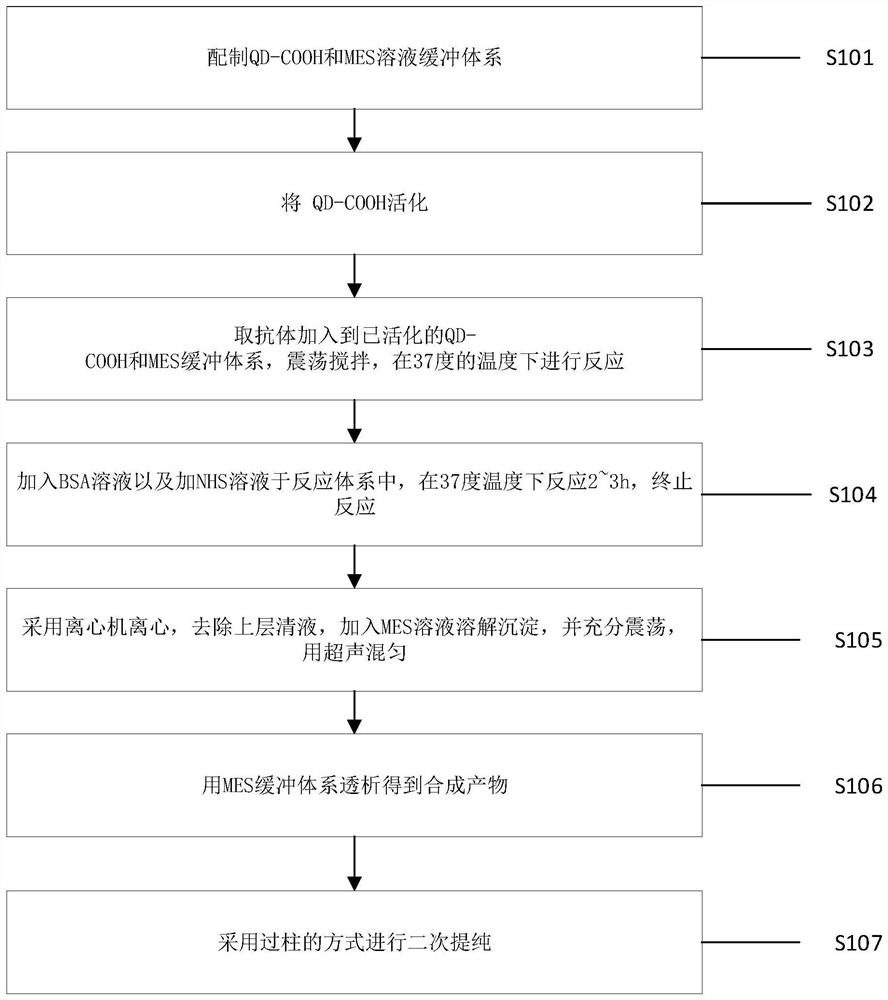 一种量子点直接标记抗体的方法及其装置