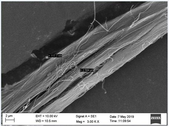一种具有纳米级分支动物皮革纤维束的制品