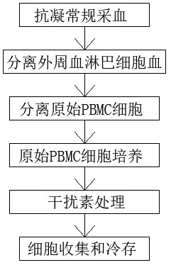 一种PBMC细胞的体外培养方法