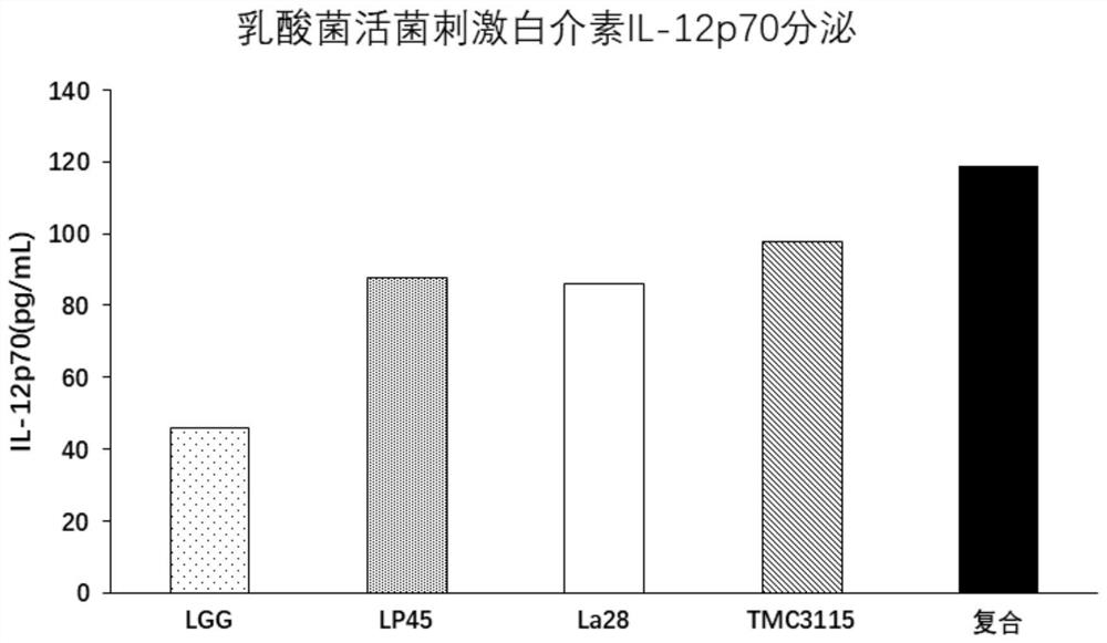 两歧双歧杆菌TMC3115及其复合菌在缓解和改善过敏中的应用