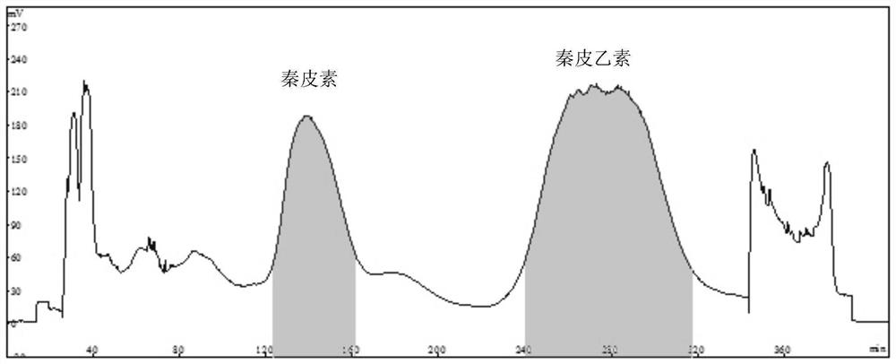 一种高速逆流色谱分离纯化秦皮中秦皮素和秦皮乙素的方法