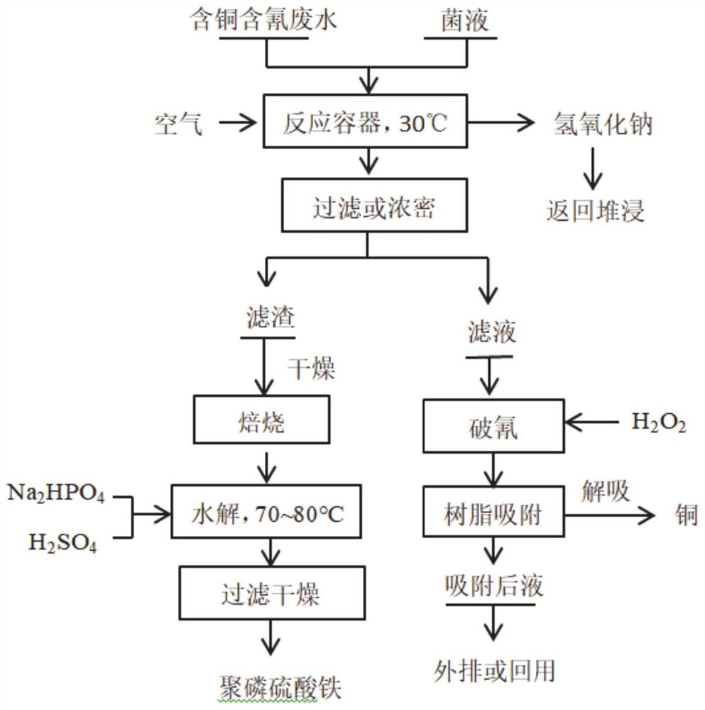 一种菌液与含铜含氰废水混合的除氰回收铜的方法