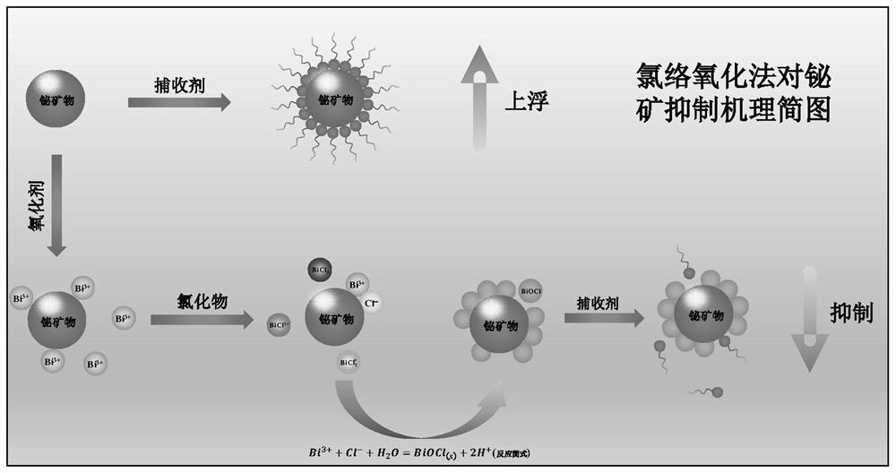 一种分选钼铋矿的抑制剂及其应用