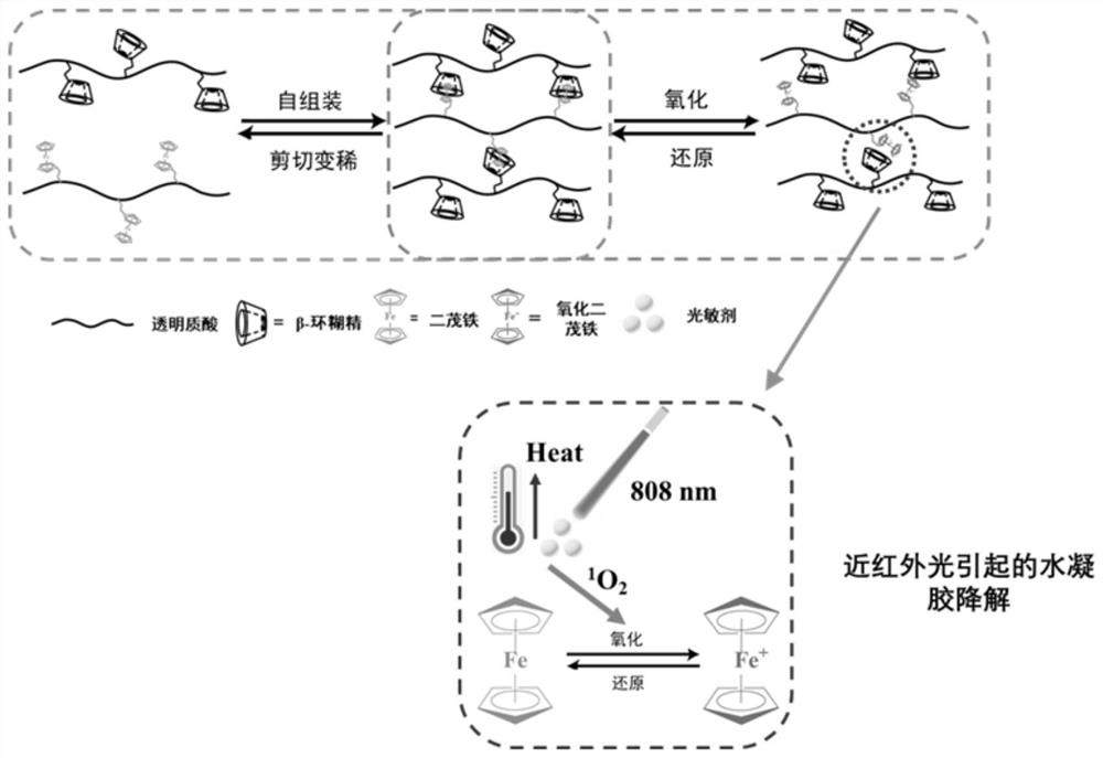 一种可光控解体的超分子水凝胶及其制备方法与应用