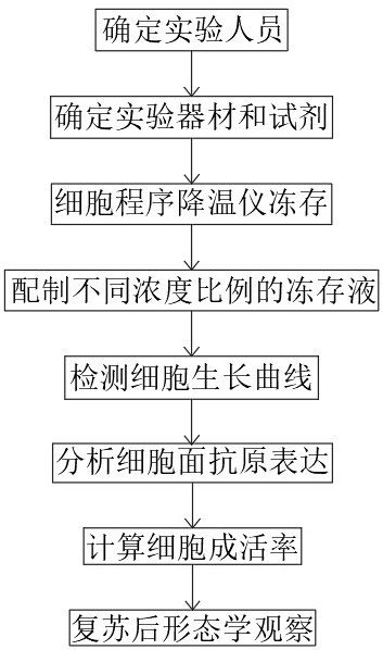 一种用于治疗的细胞制剂保护液及其配置方法