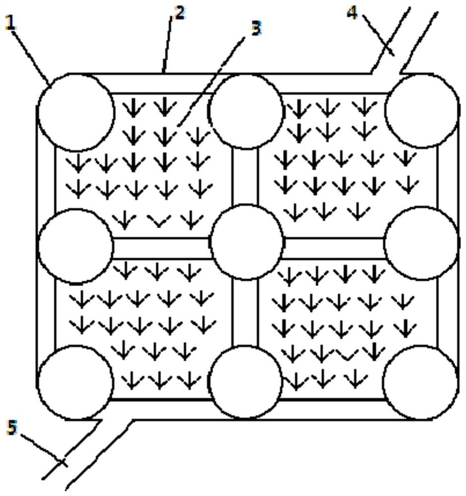 一种稻虾共作生态养殖方法