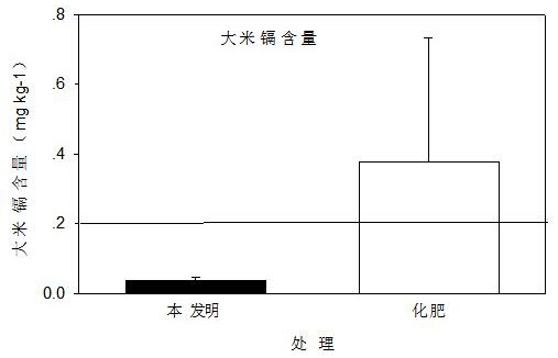 一种水稻降镉提升土壤氮有效率的方法