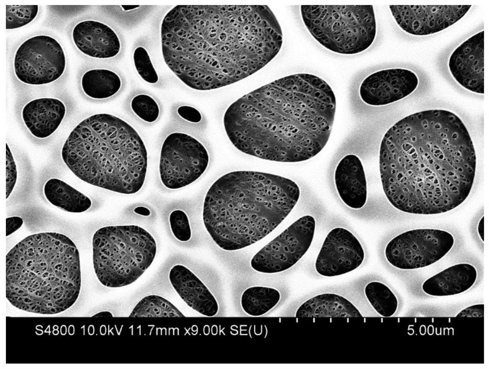 蛛网结构锂离子电池隔膜及其制备方法