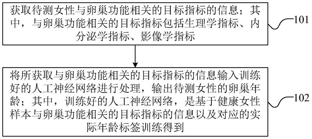 基于人工神经网络的卵巢功能年龄评估方法和装置