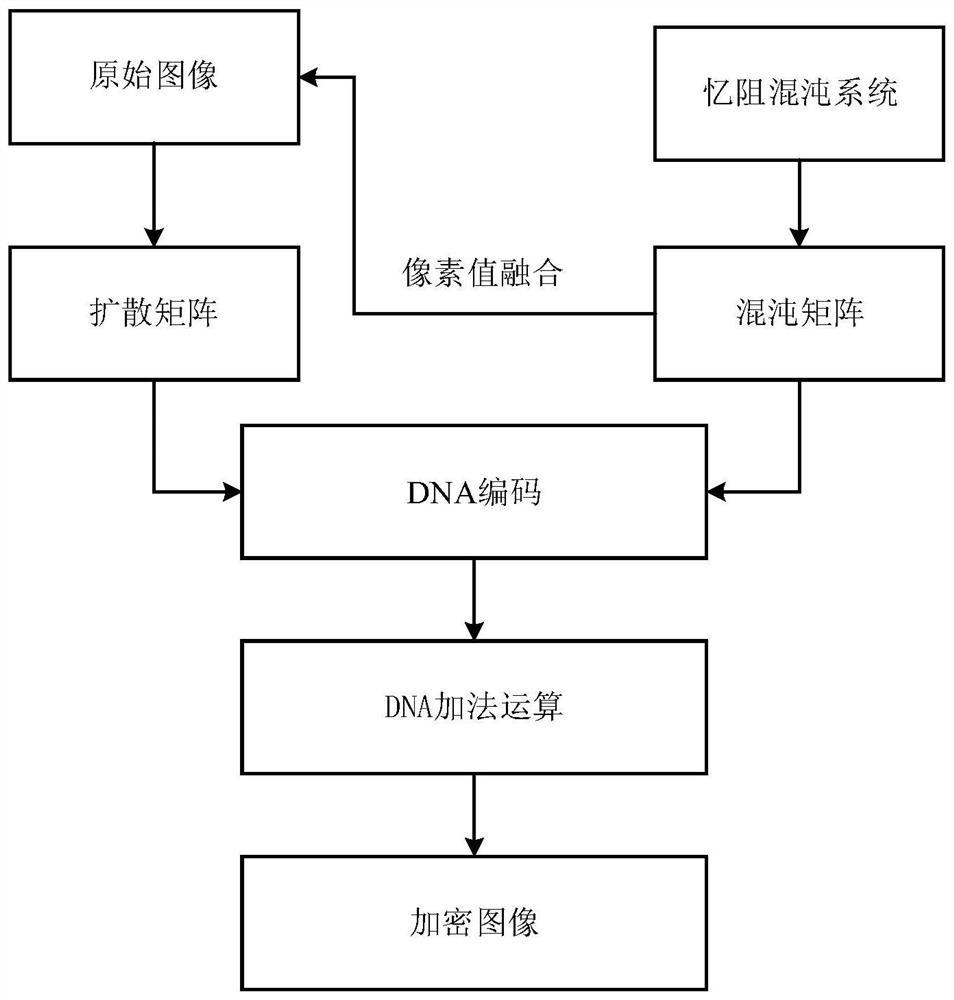 一种基于DNA序列和忆阻混沌的图像加密方法