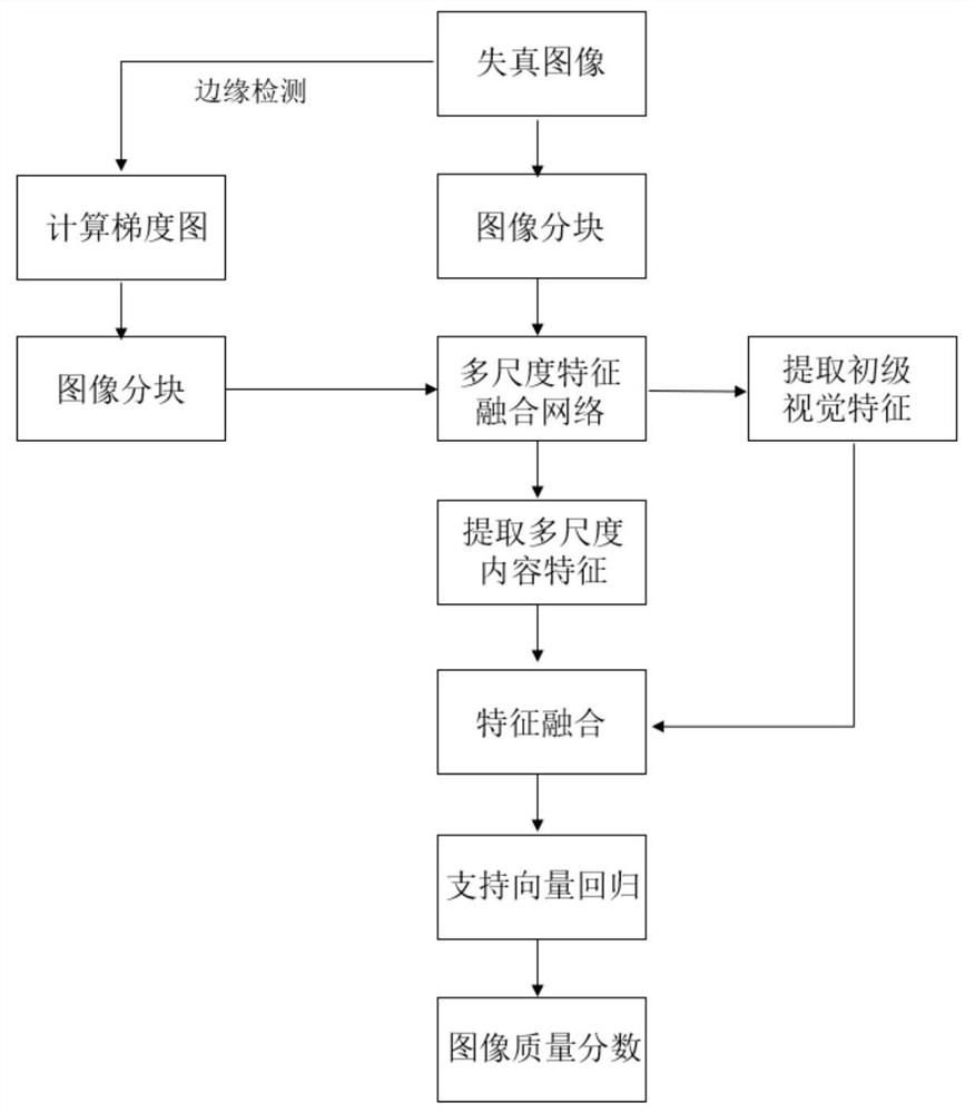 色调映射图像混合视觉特征提取模型建立及质量评价方法