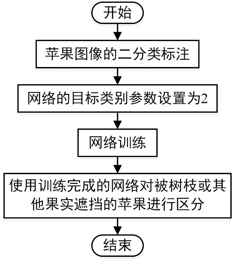 一种可区分被树枝或其他果实遮挡苹果的识别方法