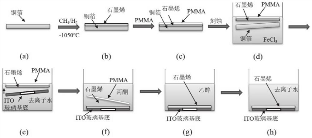 石墨烯生物传感器及制备方法与检测大肠杆菌的方法