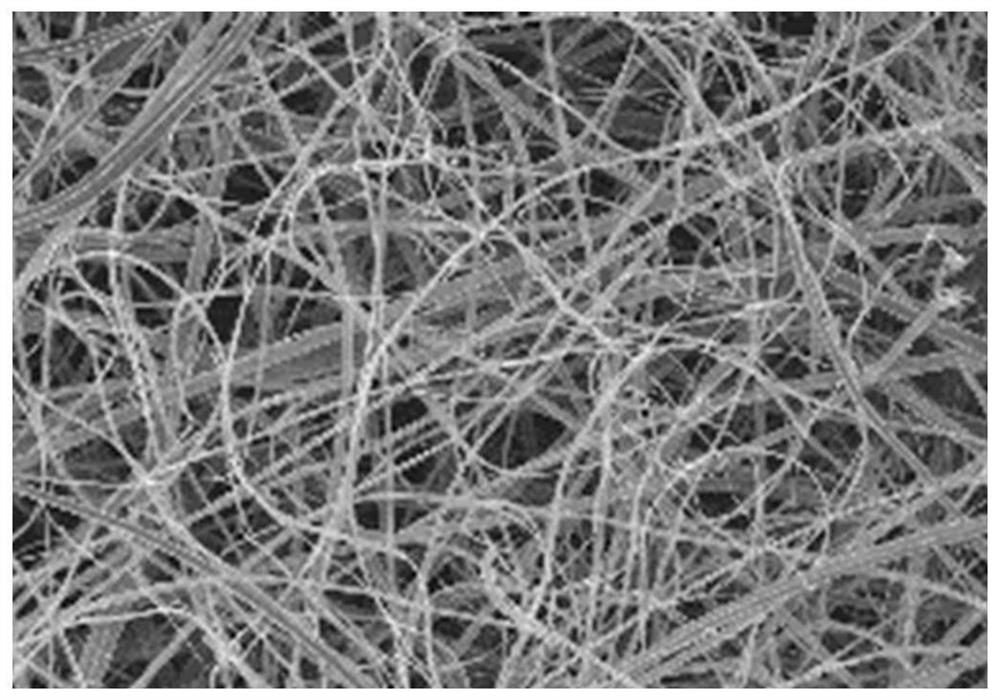 一种岩藻黄素的复合纳米纤维及其制备方法