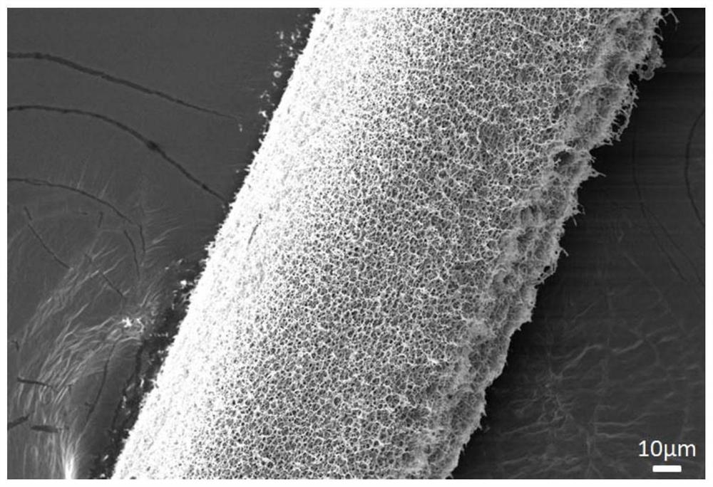 一种海绵纤维、制备方法及应用