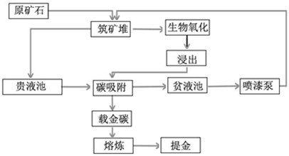 一种低品位金矿生物堆淋提金方法