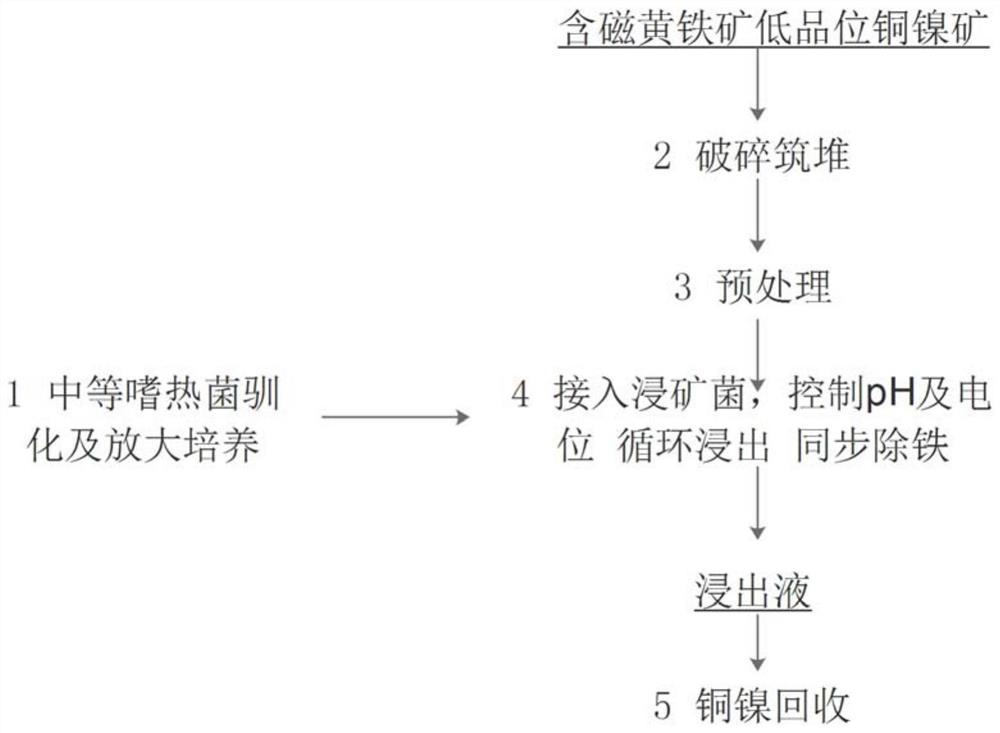 含磁黄铁矿低品位铜镍矿微生物浸出与除铁联合堆浸方法