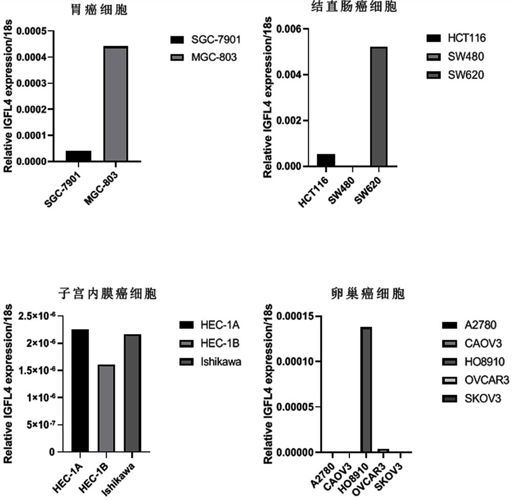 IGFL4基因作为标志物在胃癌、结直肠癌、子宫内膜癌及卵巢癌中诊断及治疗的应用