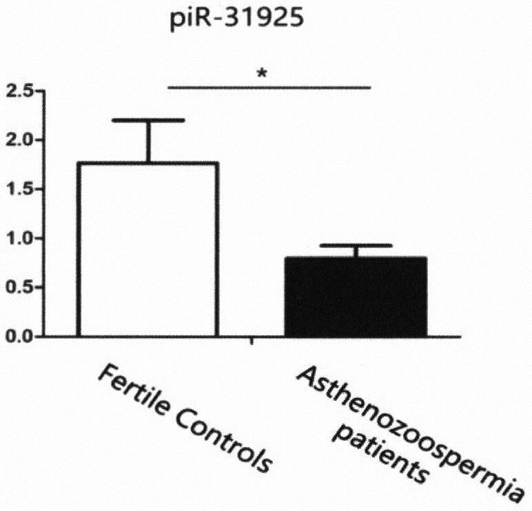 一种通过piR-31925对弱精症诊断试剂盒及应用