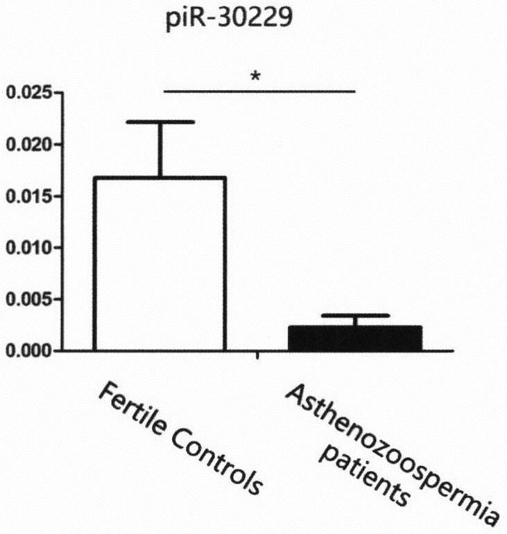 一种通过piR-30229对弱精症诊断试剂盒及应用