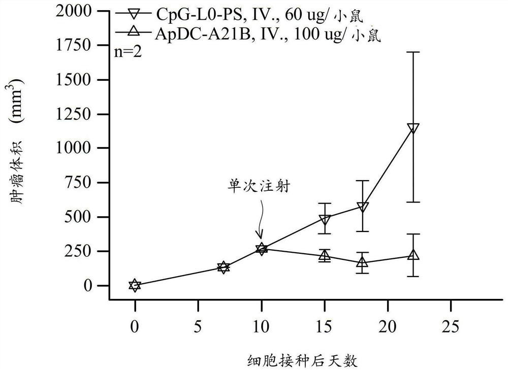 核酸药物复合体以及其用途