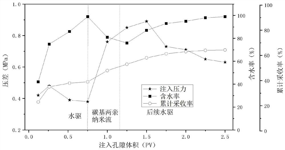 一种用于驱油的碳基两亲纳米流及制备方法