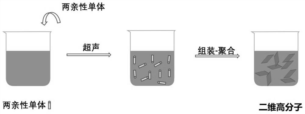 二维阴离子交换聚合物的制备方法、制得的聚合物及其应用