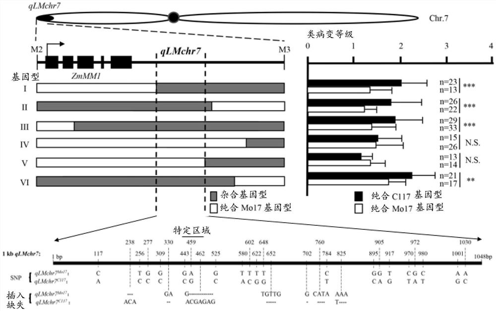 鉴定、选择和产生疾病抗性作物的方法