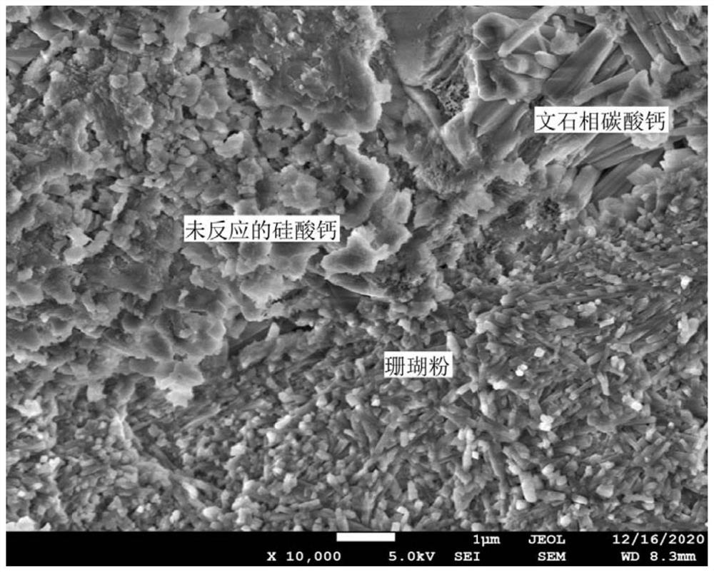 一种碳酸钙基砂粉增强碳化硬化体及其制备方法