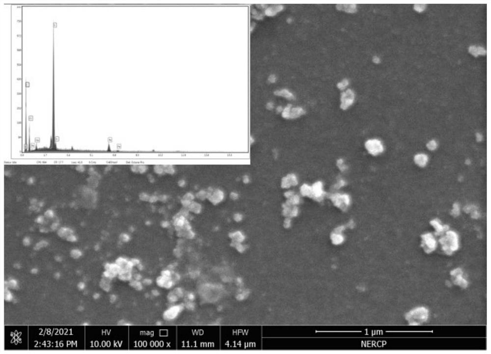一种聚醚砜膜固定纳米铁材料的制备方法及用途