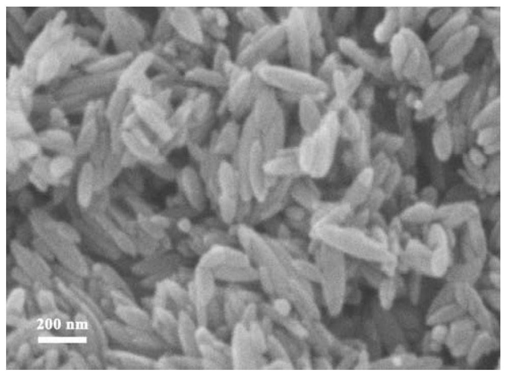 一种磁性Fe3O4/Fe2O3异质体中空纳米棒材料及制备方法和应用