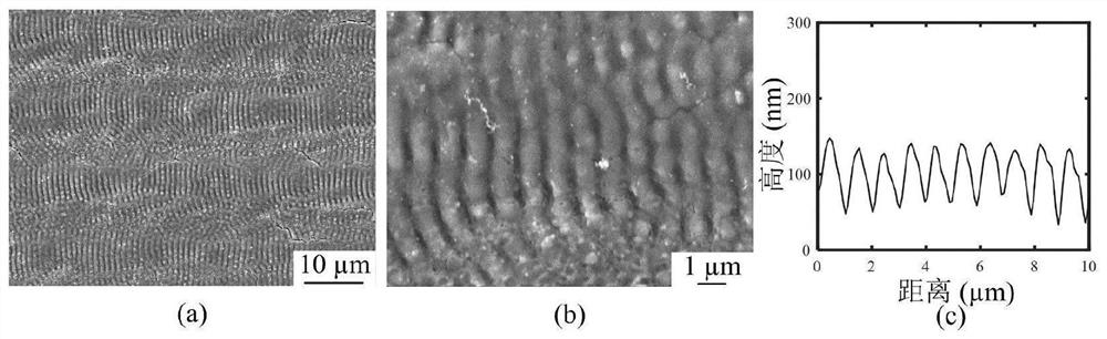 纳秒激光辐照制备钛合金表面周期性微结构的方法