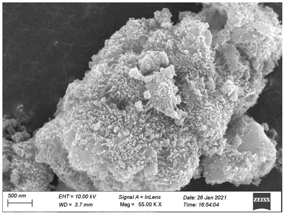 珊瑚状TiOF2光催化剂及其制备方法和应用