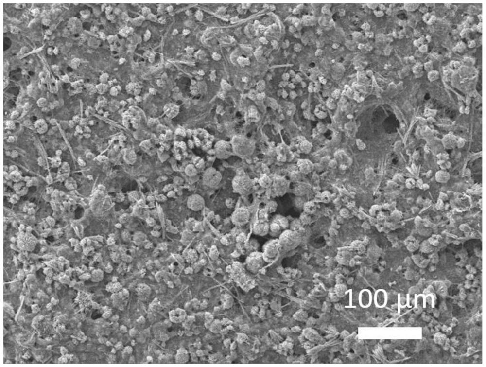 具有光催化解毒功能的纳米纤维过滤防护材料及其制备方法