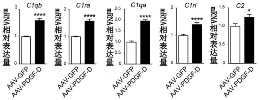 调节补体系统的方法、制剂及其应用