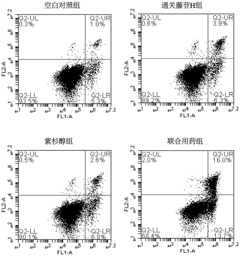 通关藤苷H与紫杉醇组合物及其应用