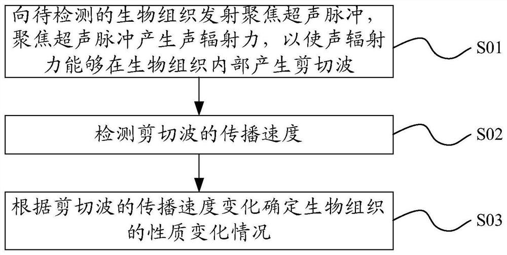 生物组织的性质变化检测方法、变性控制方法及对应装置