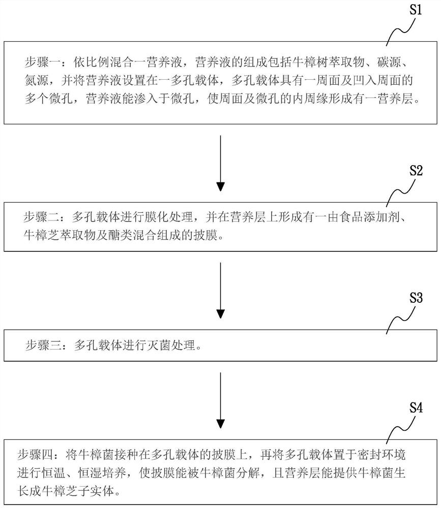 牛樟芝培育方法以及用于培养牛樟芝的多孔载体