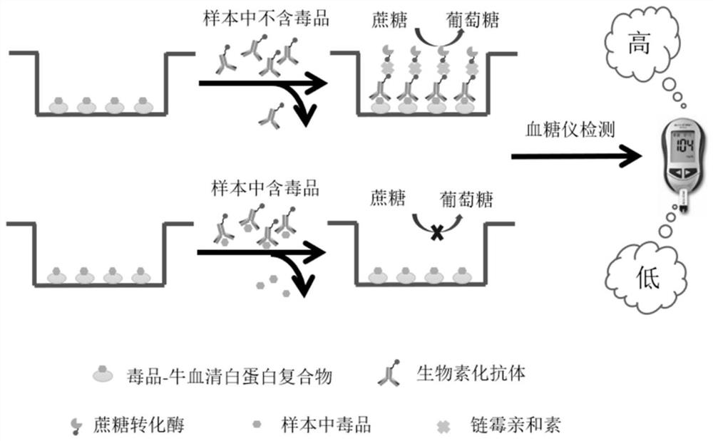 基于血糖仪信号读出的多种毒品快速检测方法