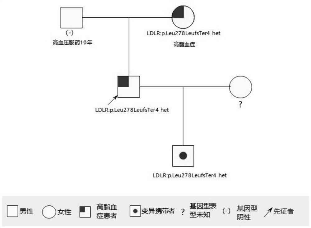 早发冠心病相关基因及其检测试剂与应用