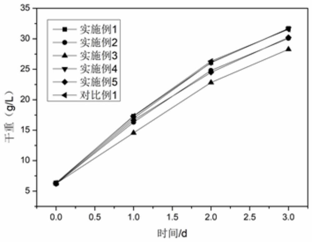 兼养-自养联合培养光合微生物的方法和系统以及生产生物质和生物能源的方法