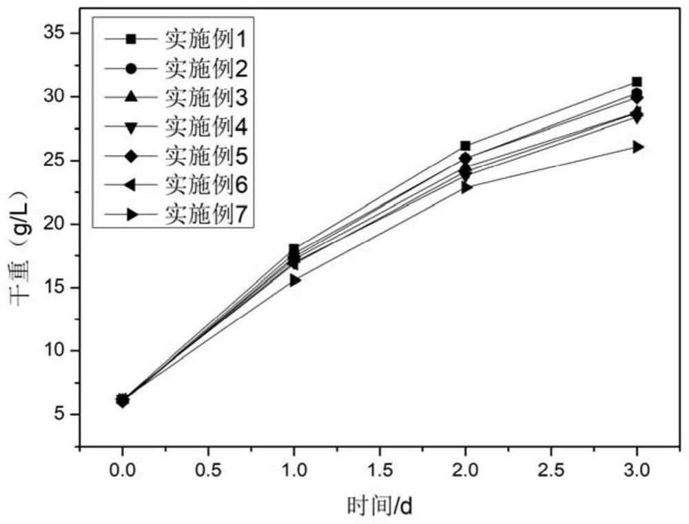 光合微生物异养-自养的培养方法及其系统和生产生物质和生物能源的方法