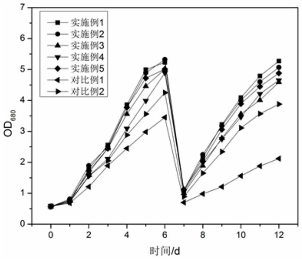 光生物反应器和光合微生物的培养方法及其应用