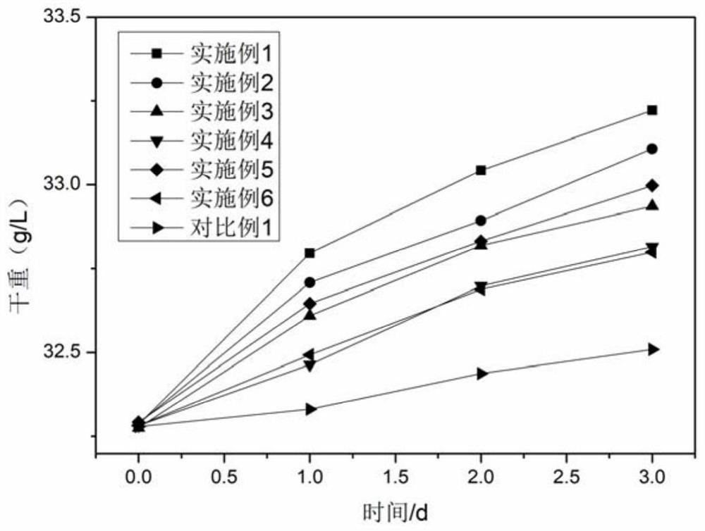 异养-自养联合培养光合微生物的方法及其系统和生产生物质和生物能源的方法