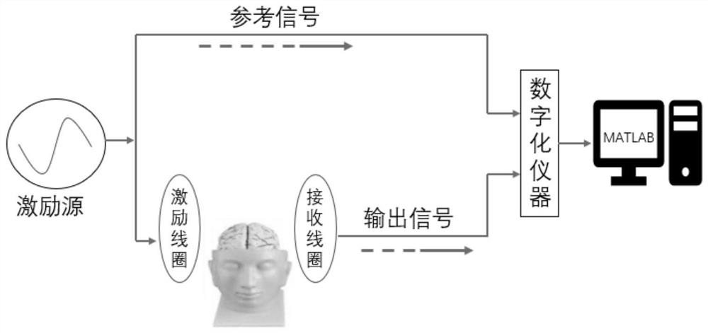 基于磁感应相位移的生物组织血流实时监测系统及模拟监测系统