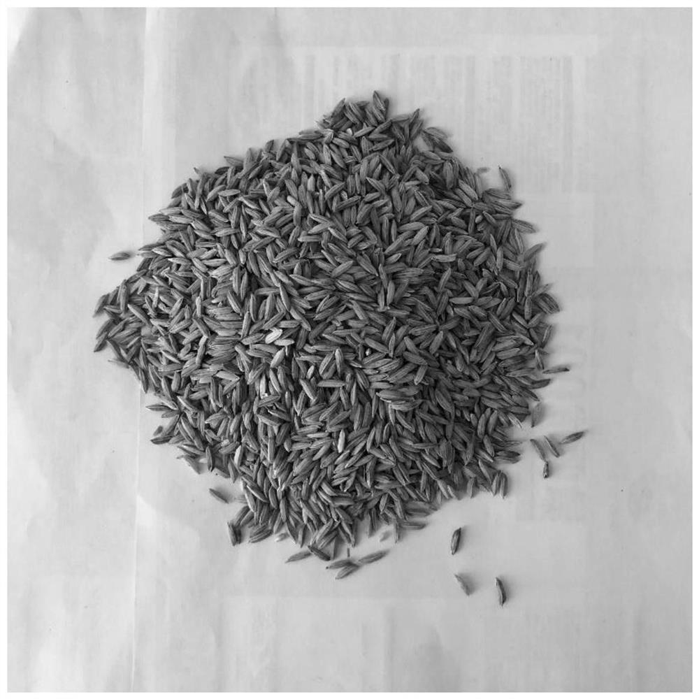一种清除水稻种子谷壳黑粉的药液组合物及其应用