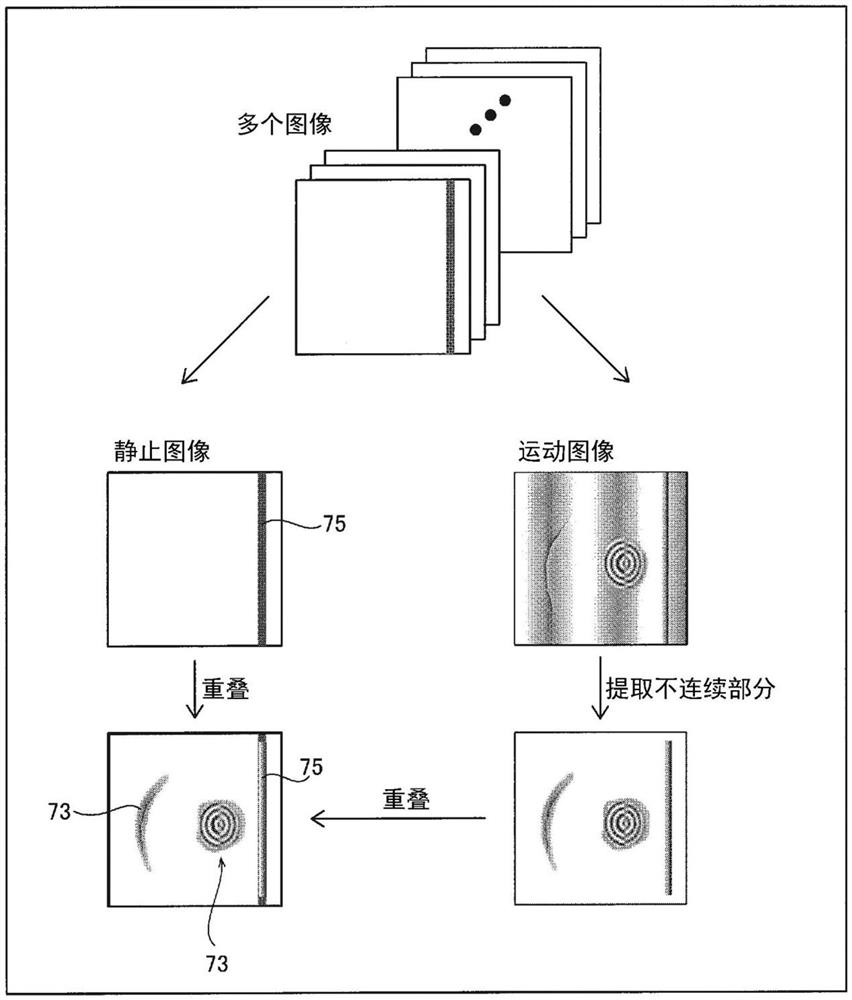 缺陷检查装置和缺陷检查方法