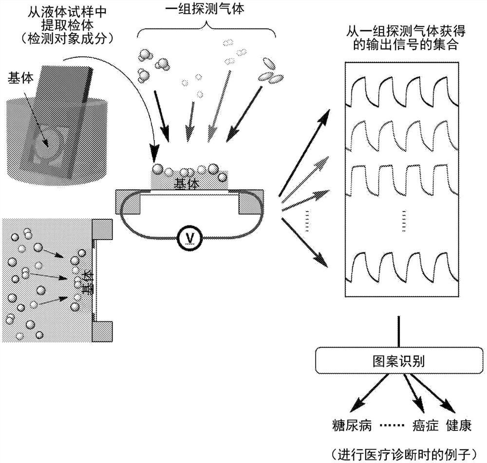 液体试样分析方法和装置