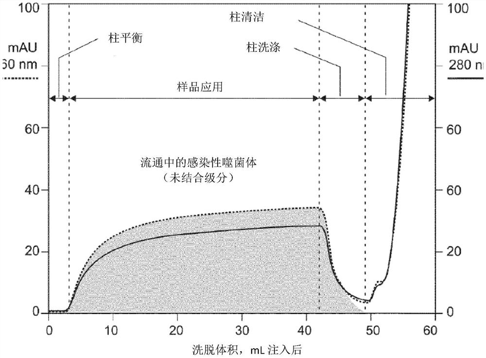 一种用于从含内毒素源或潜在含内毒素源中去掉或去除内毒素的方法