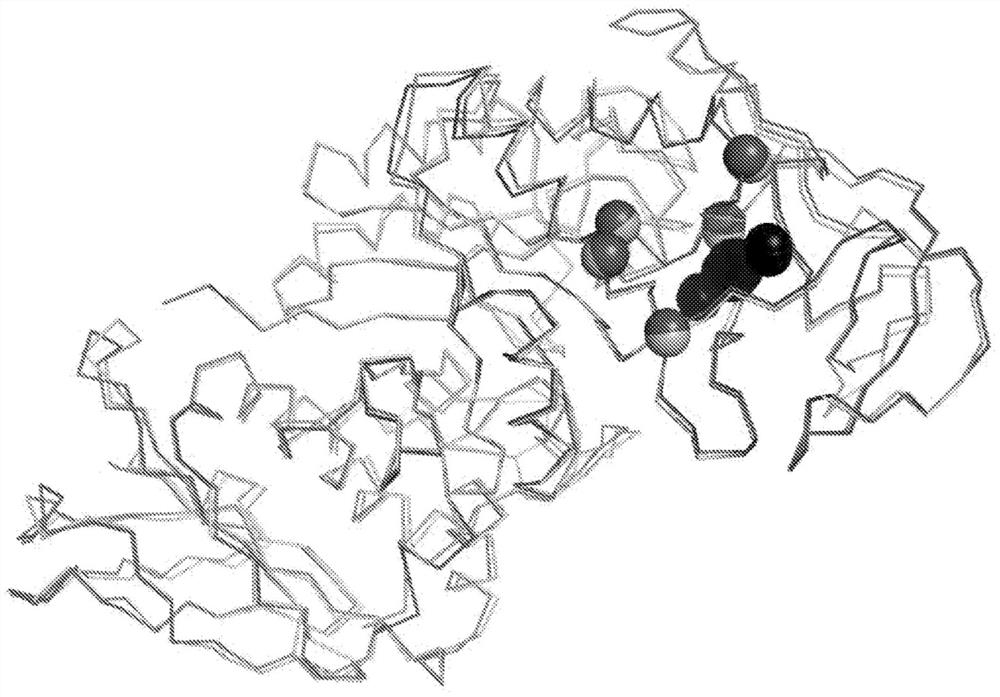 在螯合剂存在下具有可增强稳定性的突变的α-淀粉酶